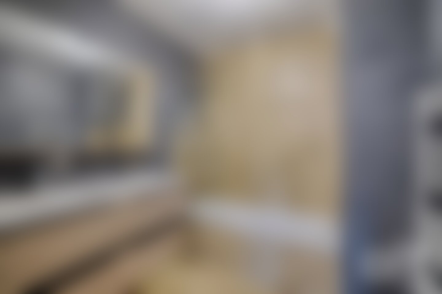 Flat in Epagny Metz-Tessy — VB269 — blurred photograph of the sold property 7