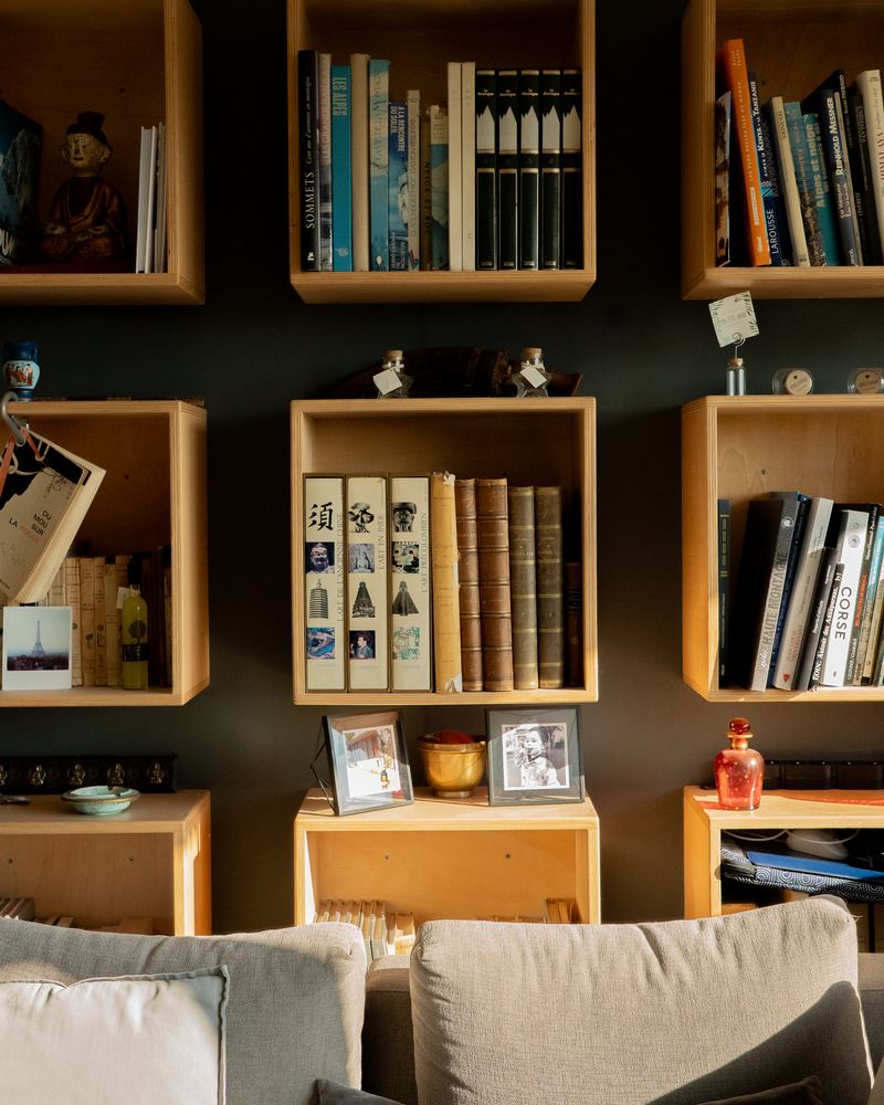 Bibliothèque sur mesure dans le salon d'un penthouse à Annecy-le-Vieux