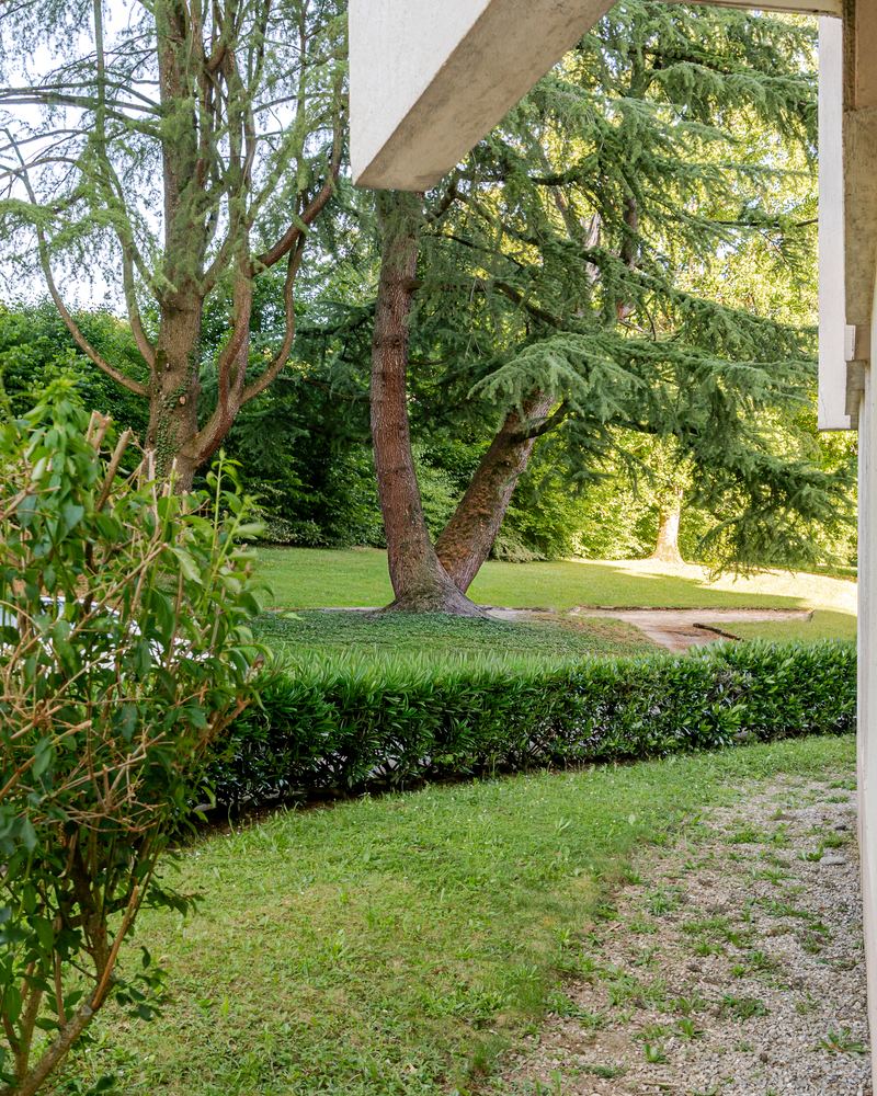 Jardin arboré et pelouse d'une résidence à Annecy
