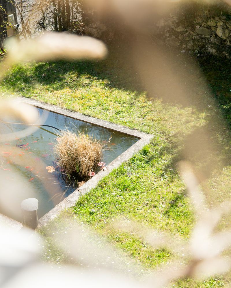 Bassin d'agrément dans le jardin d'une maison à Chavanod